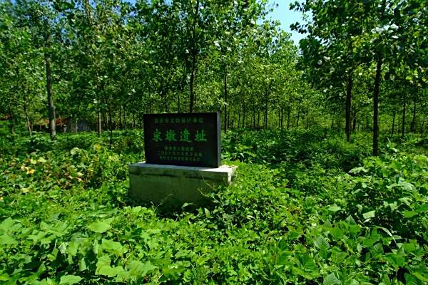 宋墩遺址