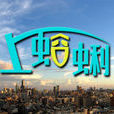 上蛤蜊