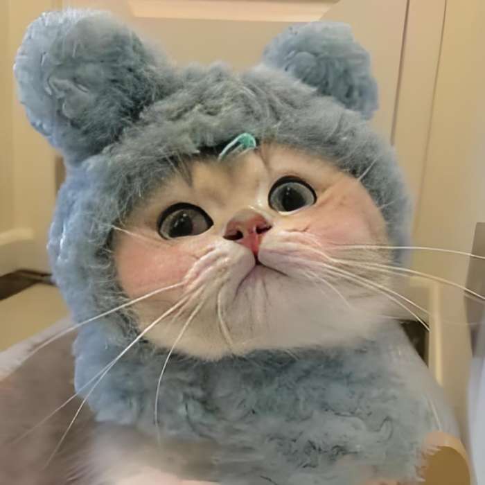 ༀ小伊♥ ༀ小伊♥