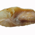 經氏殼蛞蝓