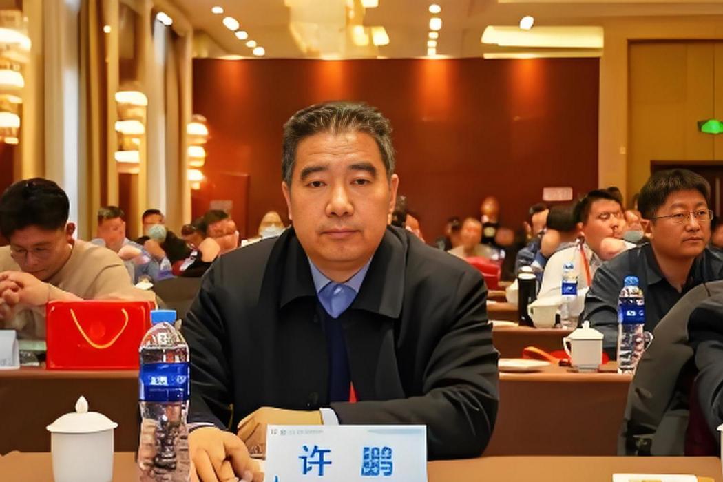 許鵬(西安市兒童醫院院長) 許鵬(西安市兒童醫院院長)