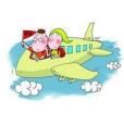 飛機意外險 飛機意外險