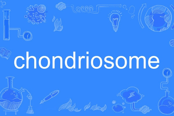 chondriosome chondriosome