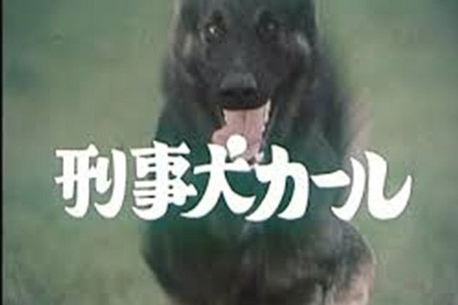 卡爾(日劇《警犬卡爾》中的角色) 卡爾(日劇《警犬卡爾》中的角色)