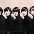 The Tigers The Tigers