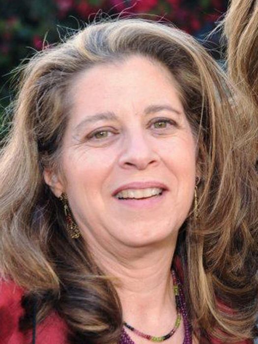 Karen S. Shapiro Karen S. Shapiro