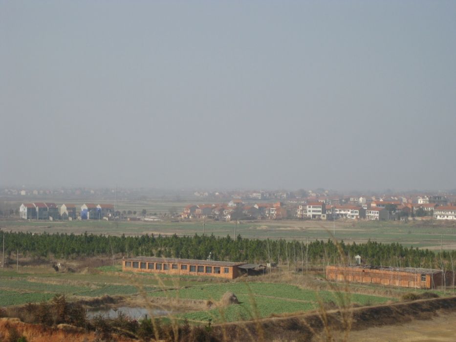 柳埂村 柳埂村