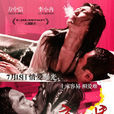 愛·不愛(愛,不愛(2011年中國電視劇)) 愛·不愛(愛,不愛(2011年中國電視劇))