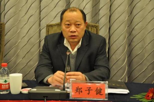 鄭子健(河南省醫療保障局局長) 鄭子健(河南省醫療保障局局長)