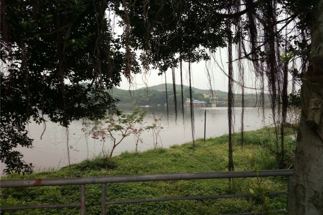 坑口水庫 坑口水庫