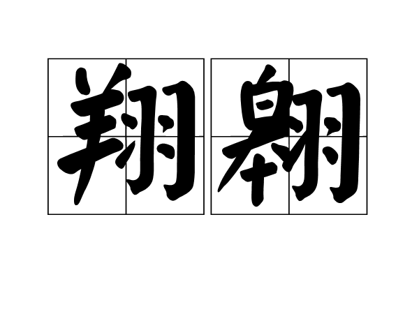 翔翱 翔翱