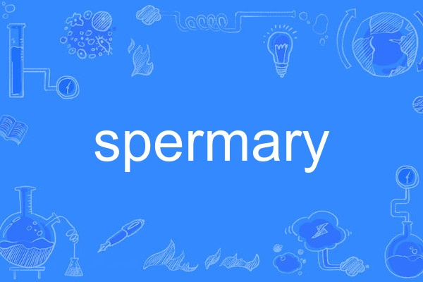 spermary spermary
