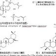 化學修飾(化工術語) 化學修飾(化工術語)