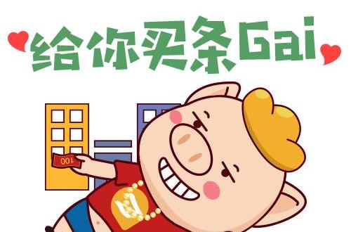 買條gai 買條gai