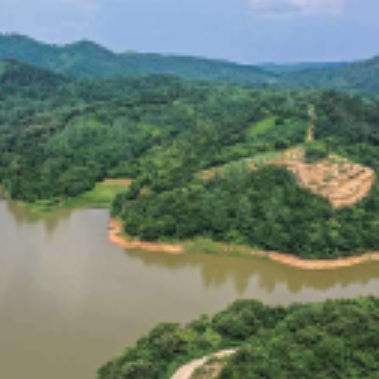 吊橋水庫 吊橋水庫