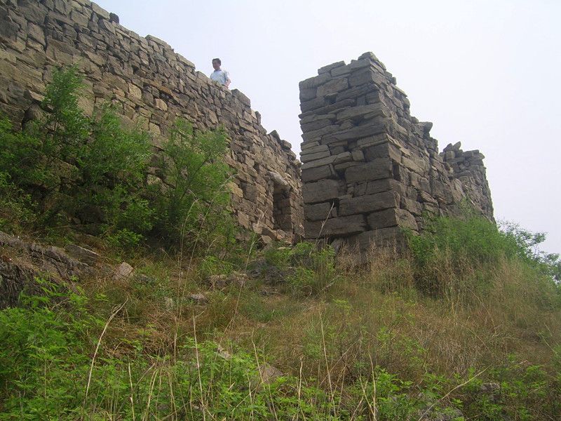 青野村 青野村