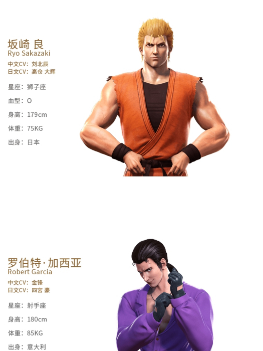 龍虎隊 龍虎隊