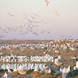 鄂爾多斯遺鷗國家級自然保護區