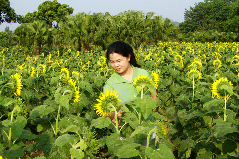 李小麗(高級教師) 李小麗(高級教師)