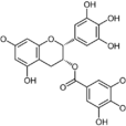 EGCG