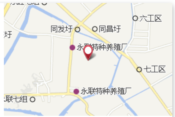 東紅大隊 東紅大隊