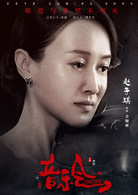 音樂會(2017年李印執導電視劇)