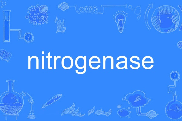 nitrogenase nitrogenase