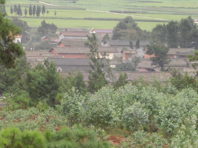 小紅杏村 小紅杏村