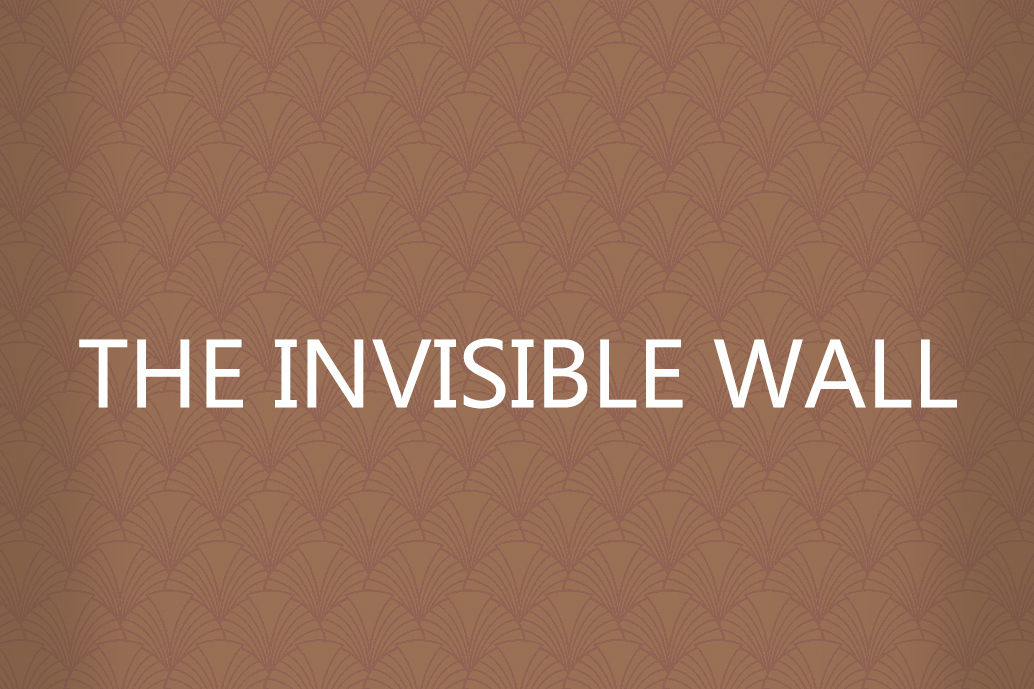 THE INVISIBLE WALL THE INVISIBLE WALL