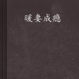 暖妻成癮(瀟湘書院小說) 暖妻成癮(瀟湘書院小說)