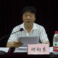 何向東(西南大學教授) 何向東(西南大學教授)