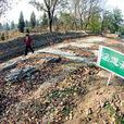 團河行宮遺址 團河行宮遺址