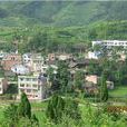 高寨村(貴州黔東南自治州丹寨縣高寨村) 高寨村(貴州黔東南自治州丹寨縣高寨村)