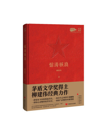 驚濤駭浪(2022年中國言實出版社出版的圖書) 驚濤駭浪(2022年中國言實出版社出版的圖書)