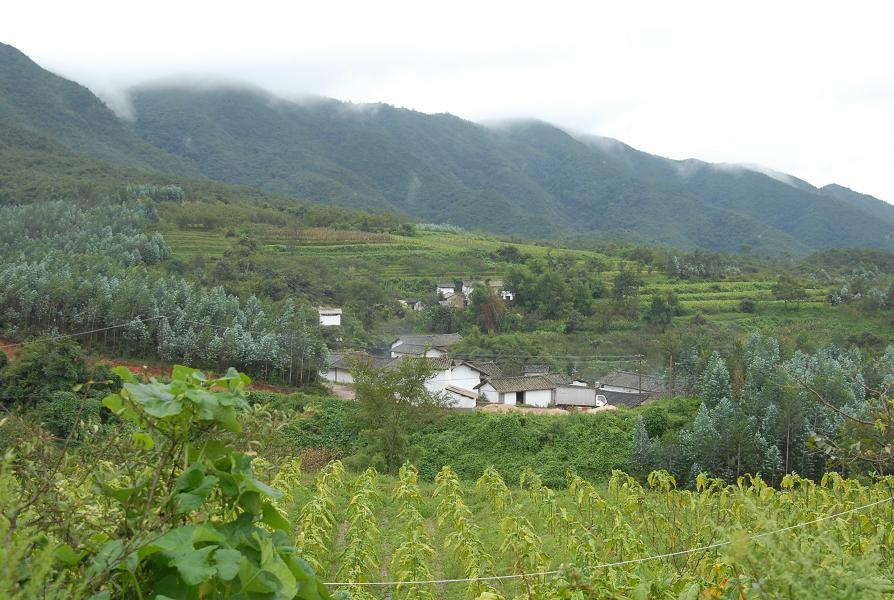李家院村(雲南省昆明市安寧市祿脿鎮李家院村) 李家院村(雲南省昆明市安寧市祿脿鎮李家院村)