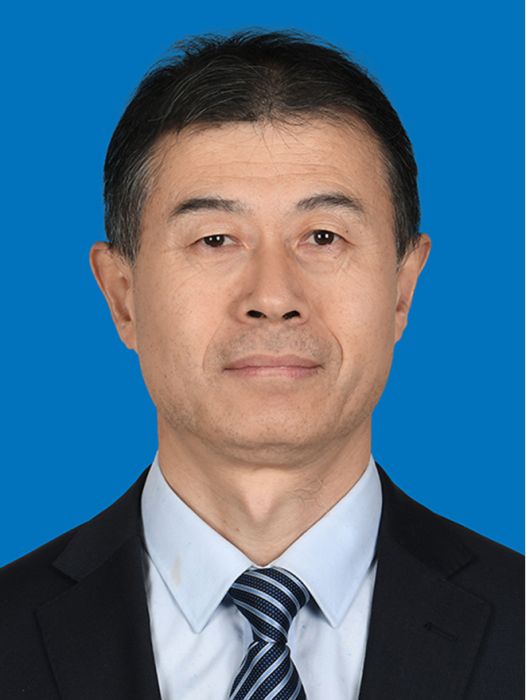 馬小偉(陝西交控集團副總經理) 馬小偉(陝西交控集團副總經理)