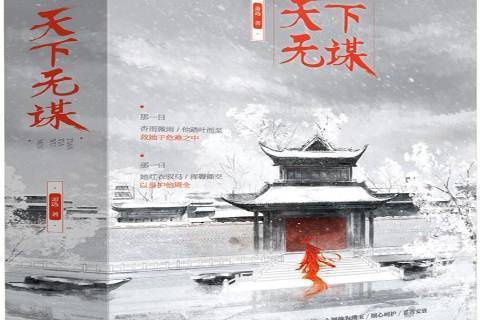 天下無謀(2017年江蘇鳳凰文藝出版社出版的圖書) 天下無謀(2017年江蘇鳳凰文藝出版社出版的圖書)