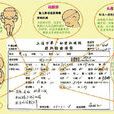 股骨長