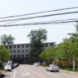 周莊村(山東省微山縣周莊村) 周莊村(山東省微山縣周莊村)