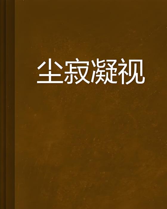塵寂凝視 塵寂凝視