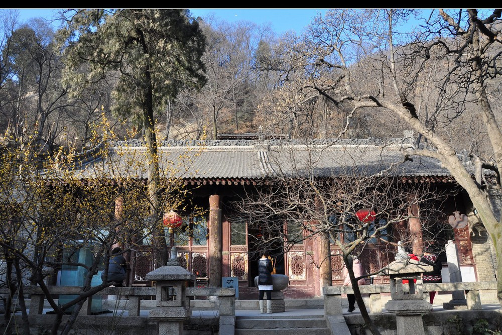 淨業寺(陽西淨業寺) 淨業寺(陽西淨業寺)