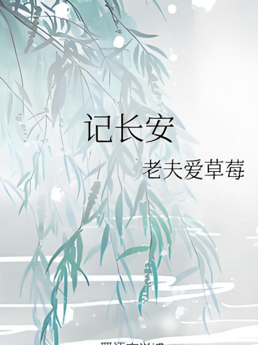 記長安 記長安