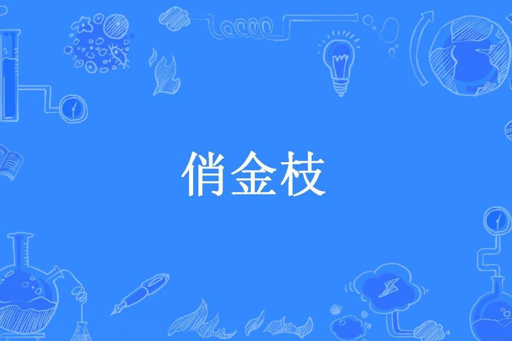 俏金枝(百事荒所著小說) 俏金枝(百事荒所著小說)