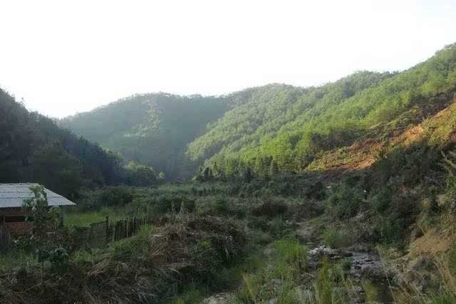 石徑嶺 石徑嶺
