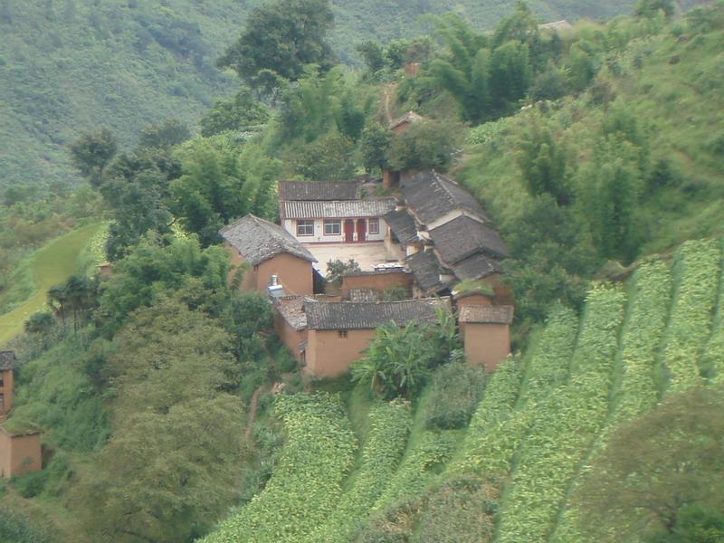 丫口家村