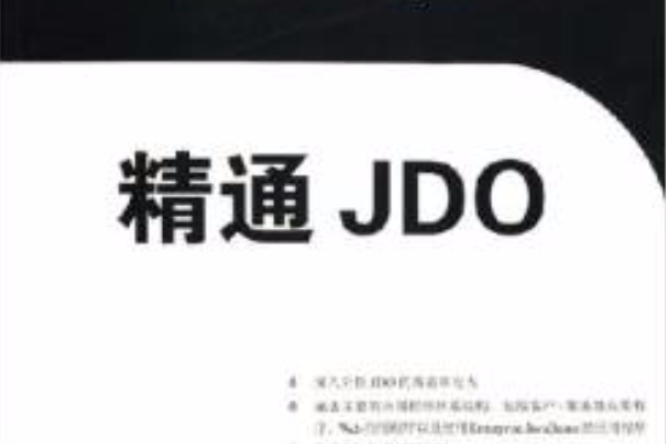 精通JDO 精通JDO
