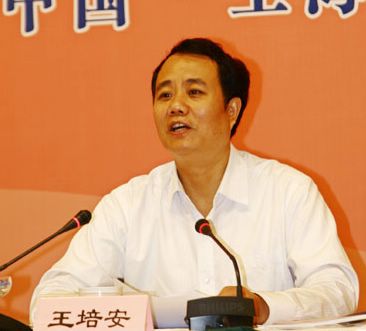 國家人口計生委副主任王培安