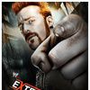 WWE：極限規則 2013
