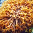 角孔珊瑚 角孔珊瑚