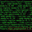 ngx_pagespeed ngx_pagespeed